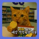 CU 경희당점 | CU 신상 찍먹 예감 솔직 후기, 치폴레마요 vs 갈릭청양마요, 취향은 딱 갈린다