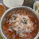 축항 | 진주 물회 맛집 추천! 축항물회 방문후기 (여름 별미 강추 🍜)