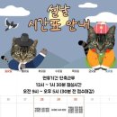로뎀나무 동물의료센터 네이버블로그