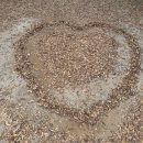 공중화장실(주차장) | 충남 가을여행 가볼만한 곳 부여 성흥산성 후기(+주차장, 화장실, 소요시간, 준비물)