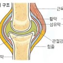 아헹가요가파주본원 이미지