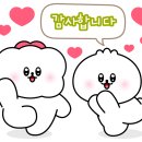디자인제제