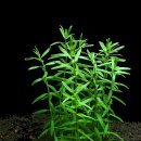 (주)후경 이미지