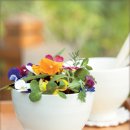 허브꽃농원 이미지