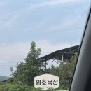 영호목장 이미지