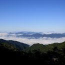 일도우리 이미지