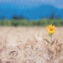 지금처럼 이미지