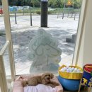 콩이네 이발소 이미지