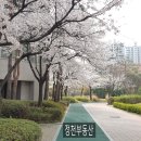 정천공인중개사사무소 이미지