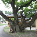 청구약수터 이미지