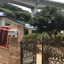 강서구-51 이미지