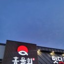 (주)제네스 | 주말에 다녀온 대곡 홍물회 솔직후기: 싱싱한 회로 배 채우기 가능? 네, 여기선 가능합니다.