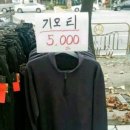 337쭈꾸미