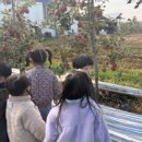 재미나라어린이집 이미지