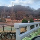 cafe(카페)도토리