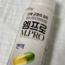 엠프로 | 엠프로 면역 후기｜직장인 장 건강 프로바이오틱스 3개월 기록