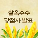 꽃여울 | / 찰옥수수 소문내기 당첨자 발표 / 내일 첫 발송 의령 찰옥수수 주말동안 살 제대로 쪄서 왔어유 맛난...