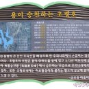 이대건신도비 이미지