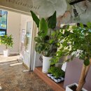 무봉리순대국 이미지