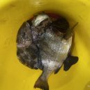 영일상회 이미지