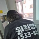 씨유한밭대원룸점 | “방 안에서 기어 다니던 그리마, 결국 이렇게 끝났습니다”