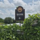 청산 | 태안 청산수목원 후기 산책도 좋고 알파카도 있는 태안 여행 코스