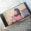 동엽농장 이미지