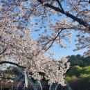 송은영유반외과의원 | 맘모톰 후 정기검진 후기