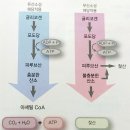 안산피티맥스짐