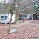 추월산별하우스 이미지