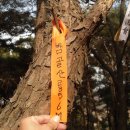 미산2리 이미지