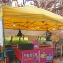 만돌탕수육