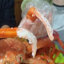 홍게파티 무한리필 | 포항 영일대 맛집 "포항홍게무한리필" 방문 후기