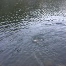 청풍호반낚시터 이미지