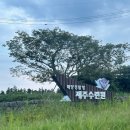 표선면 표선리 재활용 도움센터 | 제주 서귀포 해양경찰청수련원👨🏻‍✈️: 3인실 후기 / 경찰수련원 예약방법 / 여름 극성수기 예약 꿀팁✨