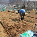 고양농장 이미지