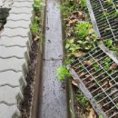 국민정비 이미지