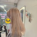 살롱드 봄 헤어 | 살롱드봄처럼 헤어샵 (내돈내산 2번째 염색 후기)