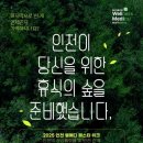 메디치유
