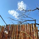 홍시스테이 | [청도 숙소] 완벽한 불멍 원한다면 &#39;홍시스테이&#39;