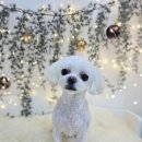 헤아림동물병원 이미지