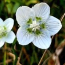 대천공원4호 이미지