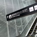 54라운지 이미지