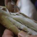 착한영덕수산 이미지