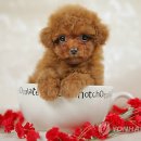 House Sincere 이미지