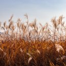 부곡수변공원 이미지