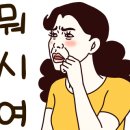 스피드메이트영통