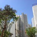 퍼스트하이단지내공인중개사사무소 이미지