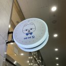 까까모 | 광주애견미용 까까모 포메라니안 물개컷 햇어요
