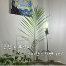 연아랩스킨앤바디 | 춘천 후평동 피부관리 승모근관리 수기관리 전문 연아랩스킨앤바디 찐 단골 후기